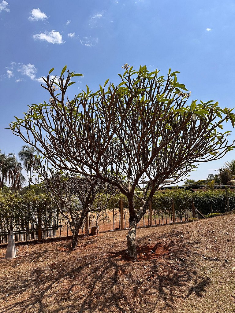 Jardim dos Sentidos no Lago Sul