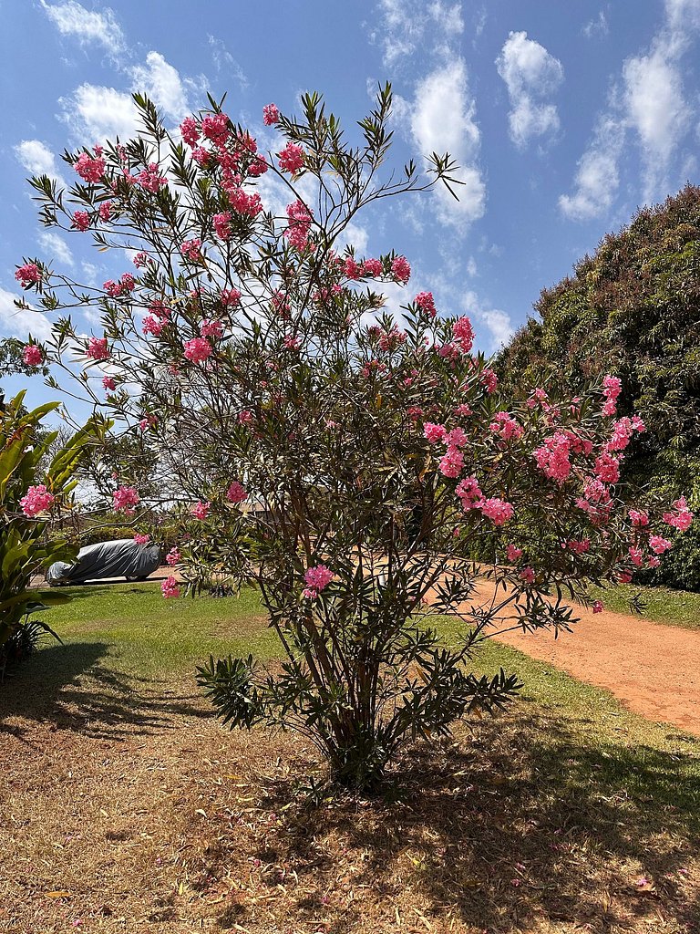 Jardim dos Sentidos no Lago Sul